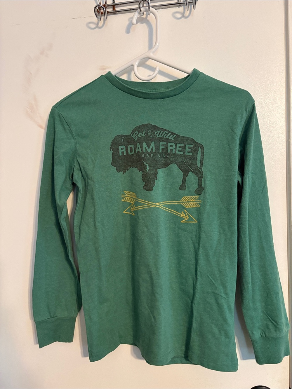 GAP Green 'Roam Free' Buffalo Graphic Long Sleeve Tee